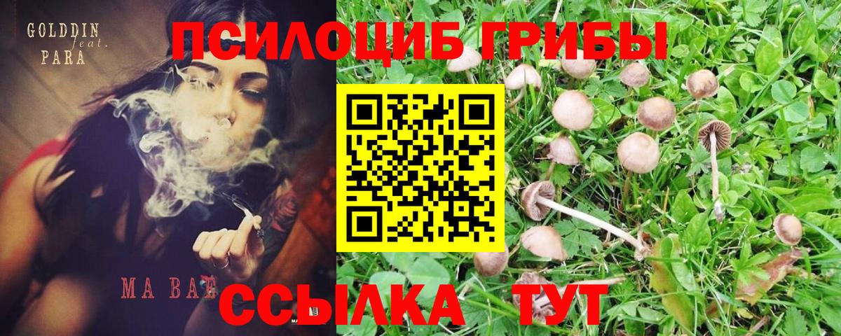 Казань  Псилоцибиновые грибы мицелий  Вход с VPN 