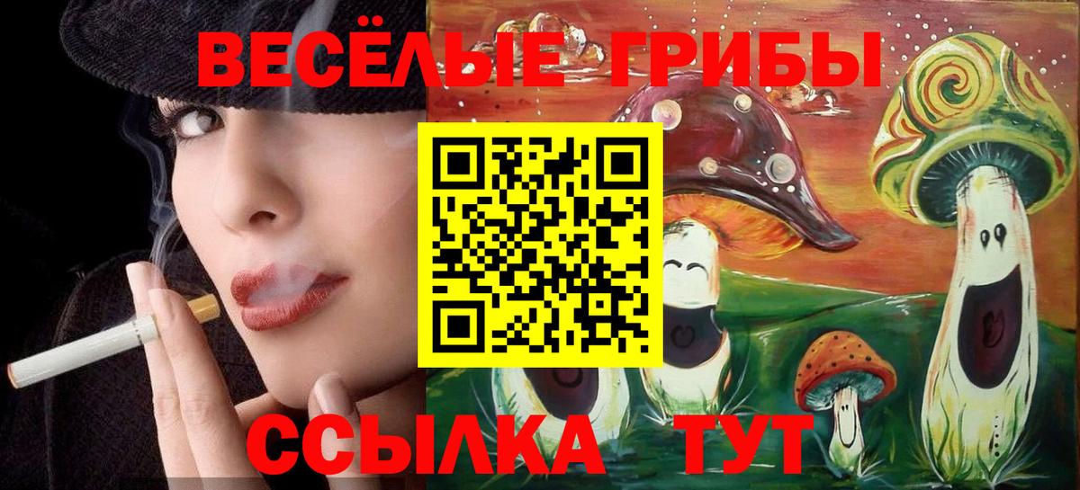 Псилоцибиновые грибы ЛСД Казань